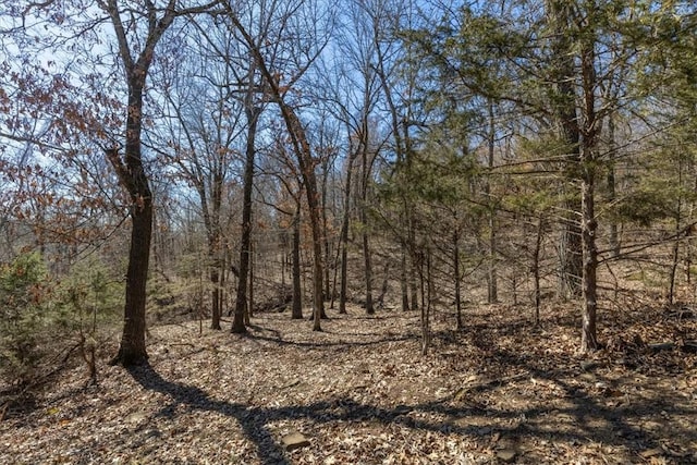 view of landscape with a wooded view