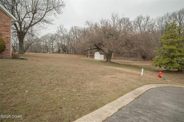 view of yard featuring an outdoor structure and a shed