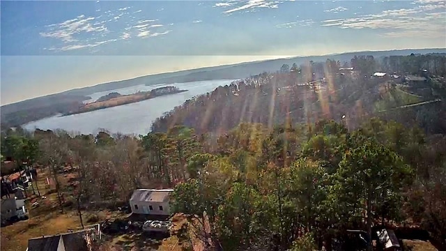 property view of mountains with a view of trees and a water view