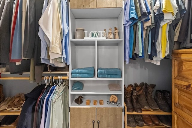 view of spacious closet