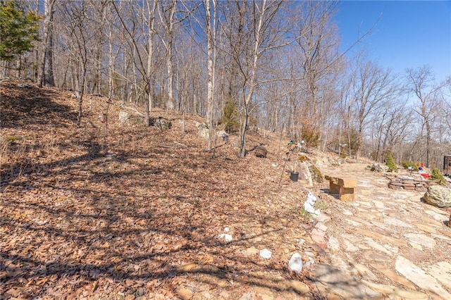 1327 Copperhead Rd, Winslow, AR 72959 - photo 32