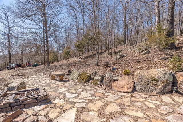 1327 Copperhead Rd, Winslow, AR 72959 - photo 34