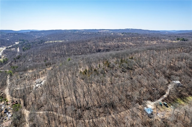 1327 Copperhead Rd, Winslow, AR 72959 - photo 50