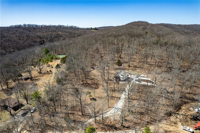 1327 Copperhead Rd, Winslow, AR 72959 - photo 56