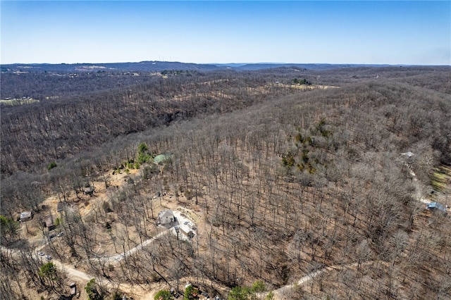 1327 Copperhead Rd, Winslow, AR 72959 - photo 58
