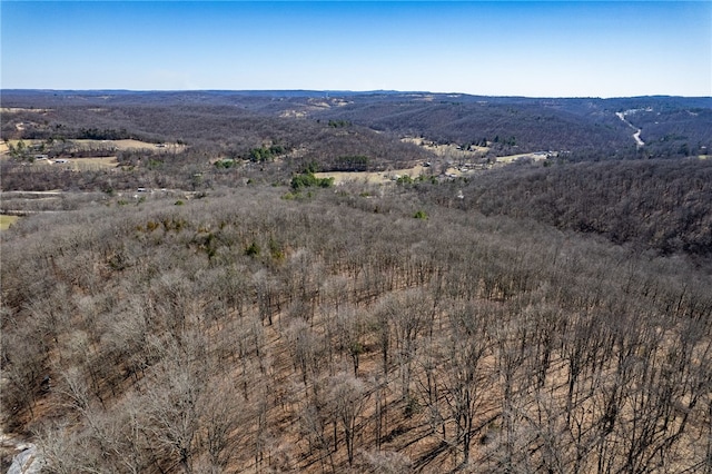 1327 Copperhead Rd, Winslow, AR 72959 - photo 59