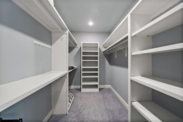 14137 Ozark Dr, Garfield, AR 72732 - spacious closet with carpet