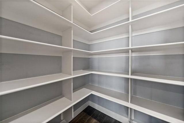 14137 Ozark Dr, Garfield, AR 72732 - view of pantry