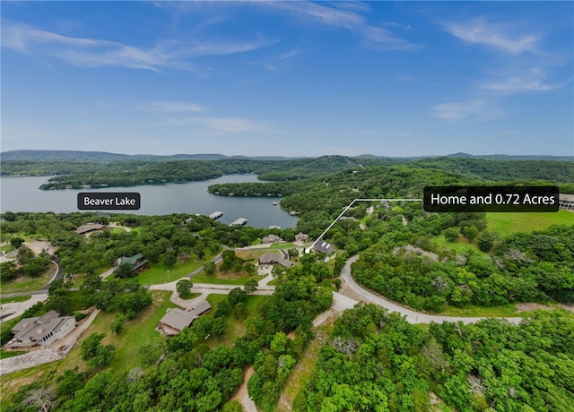 14137 Ozark Dr, Garfield, AR 72732 - aerial view of property's location with a large body of water and property boundaries highlighted
