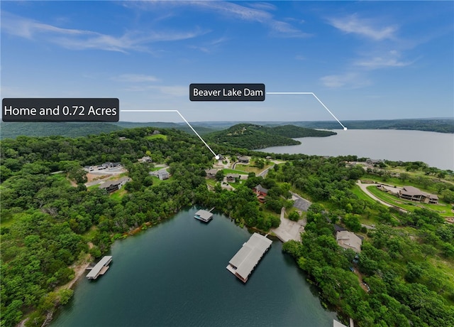 14137 Ozark Dr, Garfield, AR 72732 - drone / aerial view of a large body of water