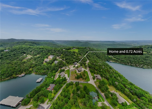 14137 Ozark Dr, Garfield, AR 72732 - aerial view of property and surrounding area with a large body of water