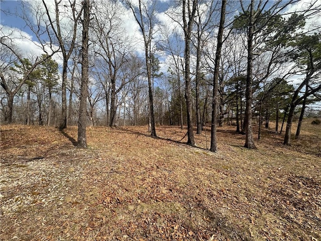 Listing photo 3 for TBD County Road 332, Eureka Springs AR 72632