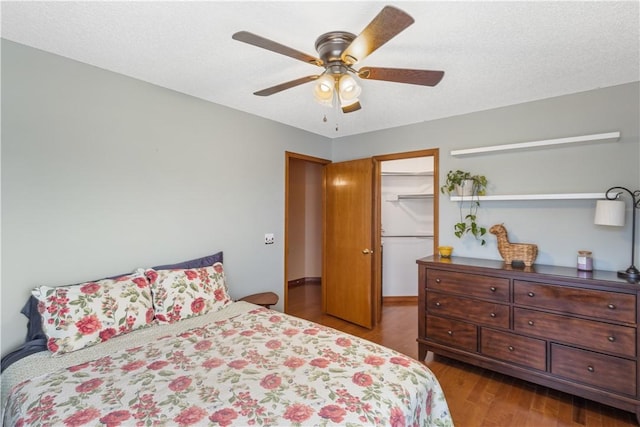 bedroom with wood finished floors, ceiling fan, a spacious closet, a closet, and a textured ceiling