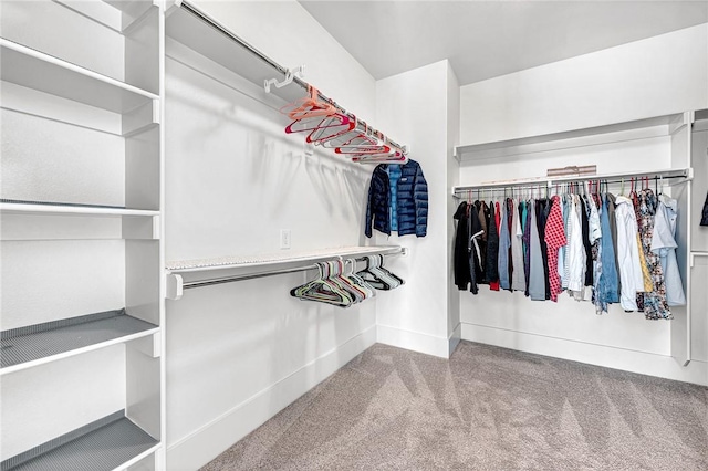 spacious closet with carpet flooring