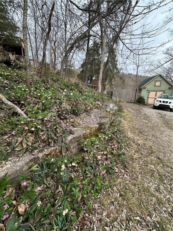view of yard with dirt driveway