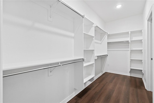 walk in closet with dark wood-type flooring