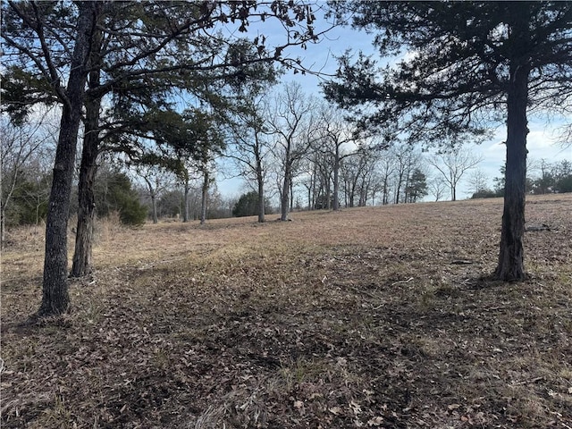 TBD Mc 2063, Yellville, AR 72687 - photo 4