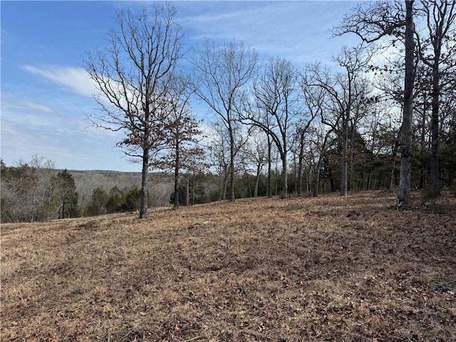 TBD Mc 2063, Yellville, AR 72687 - photo 5