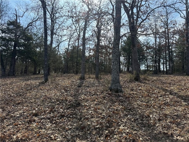TBD Mc 2063, Yellville, AR 72687 - photo 6