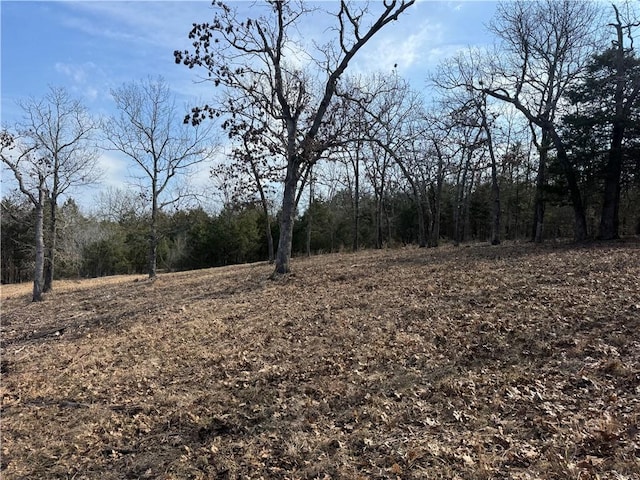 TBD Mc 2063, Yellville, AR 72687 - photo 7