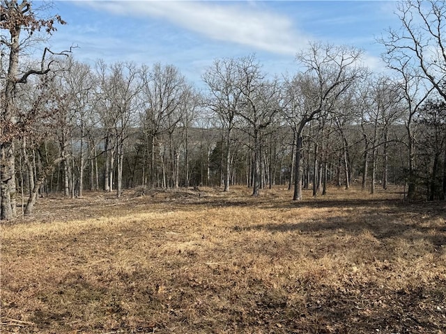 TBD Mc 2063, Yellville, AR 72687 - photo 8
