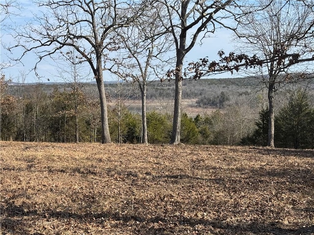 TBD Mc 2063, Yellville, AR 72687 - photo 25