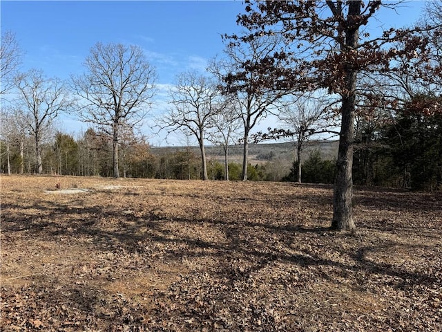 TBD Mc 2063, Yellville, AR 72687 - photo 26
