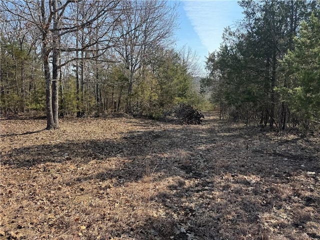 TBD Mc 2063, Yellville, AR 72687 - photo 27