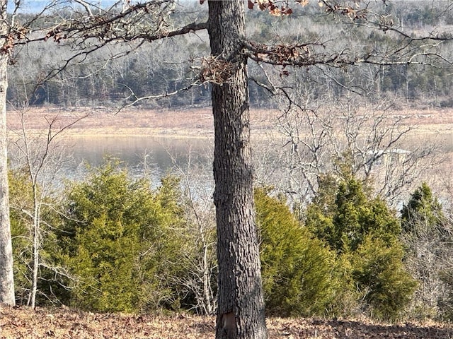 TBD Mc 2063, Yellville, AR 72687 - photo 28