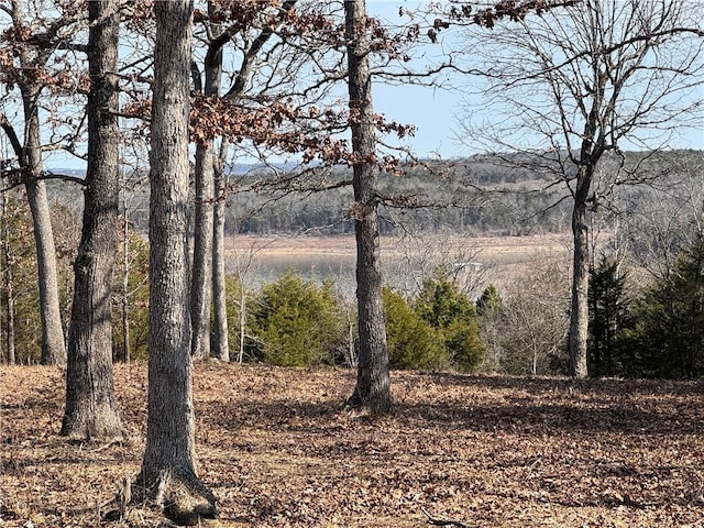 TBD Mc 2063, Yellville, AR 72687 - photo 29