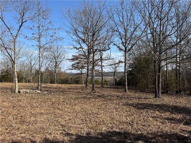 TBD Mc 2063, Yellville, AR 72687 - photo 30