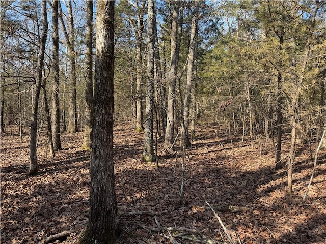 TBD Mc 2063, Yellville, AR 72687 - photo 31