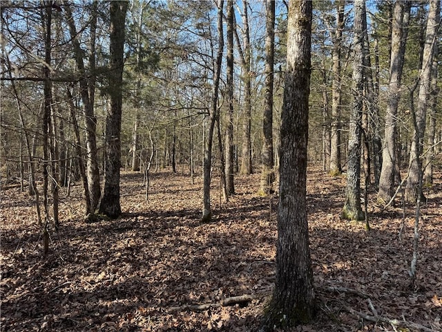 TBD Mc 2063, Yellville, AR 72687 - photo 32