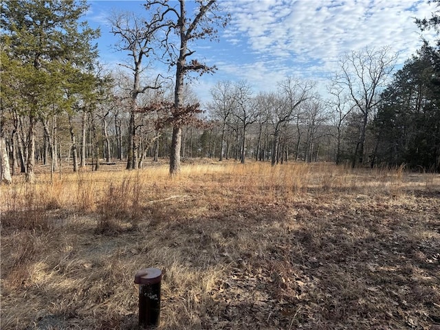 TBD Mc 2063, Yellville, AR 72687 - photo 33