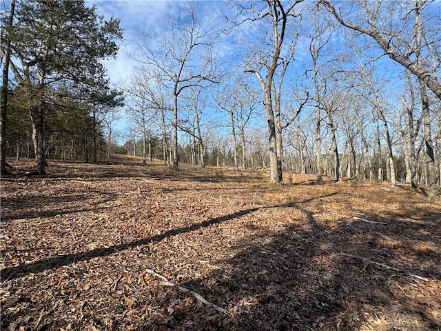 TBD Mc 2063, Yellville, AR 72687 - photo 35