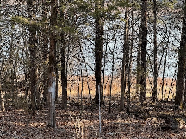 TBD Mc 2063, Yellville, AR 72687 - photo 36