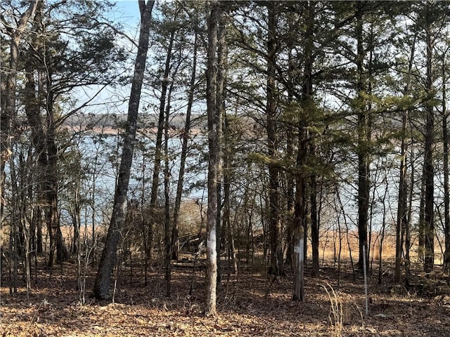 TBD Mc 2063, Yellville, AR 72687 - photo 37
