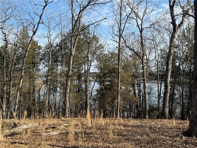 TBD Mc 2063, Yellville, AR 72687 - photo 38