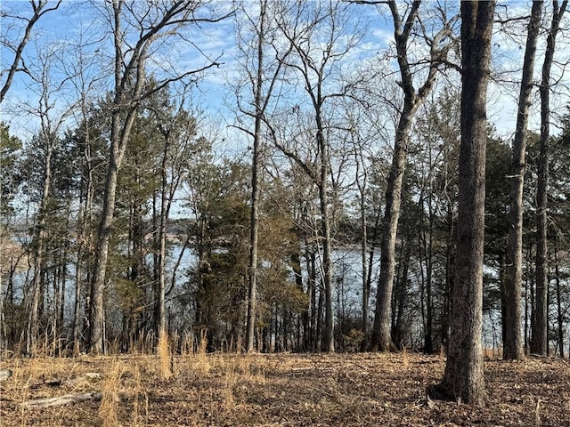 TBD Mc 2063, Yellville, AR 72687 - photo 39