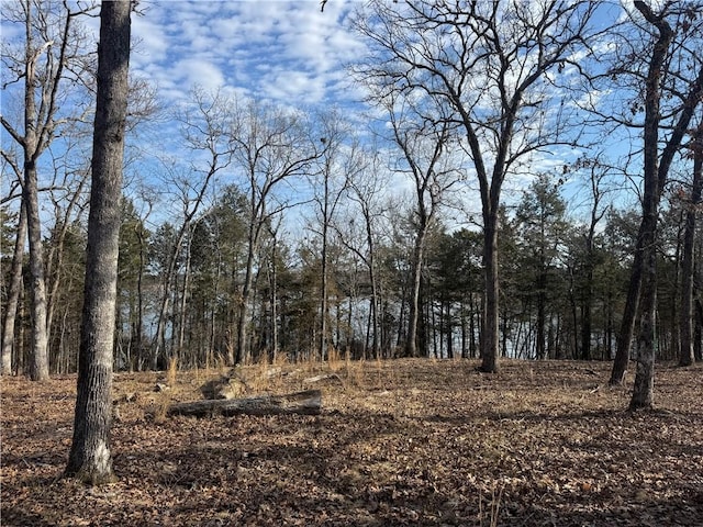 TBD Mc 2063, Yellville, AR 72687 - photo 40