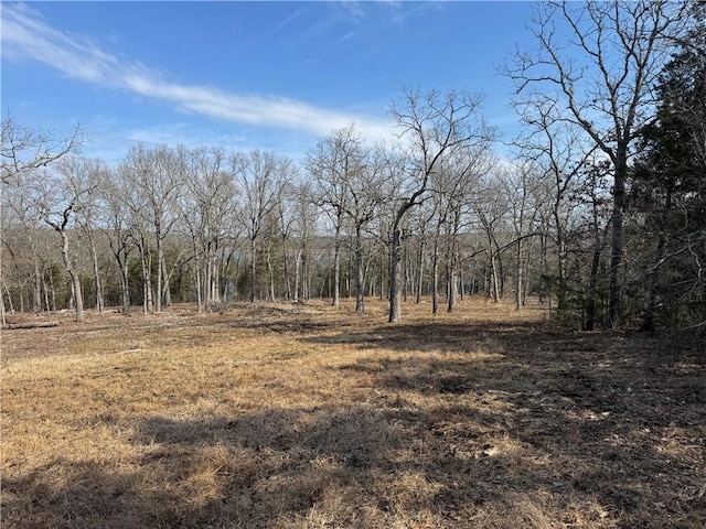 TBD Mc 2063, Yellville, AR 72687 - photo 10