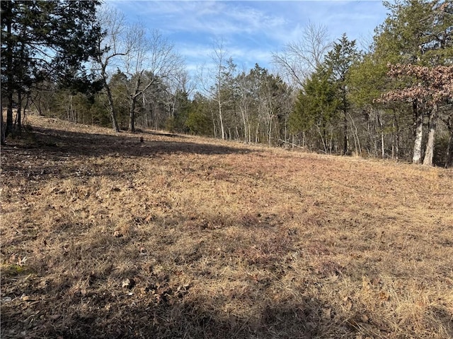 TBD Mc 2063, Yellville, AR 72687 - photo 11