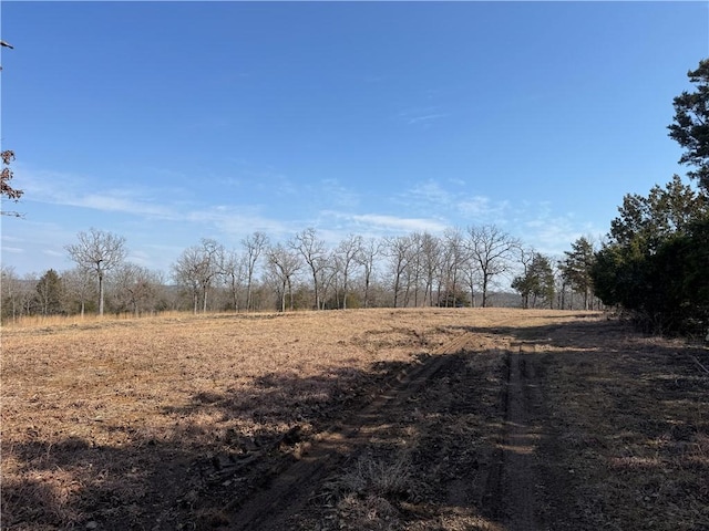 TBD Mc 2063, Yellville, AR 72687 - photo 13