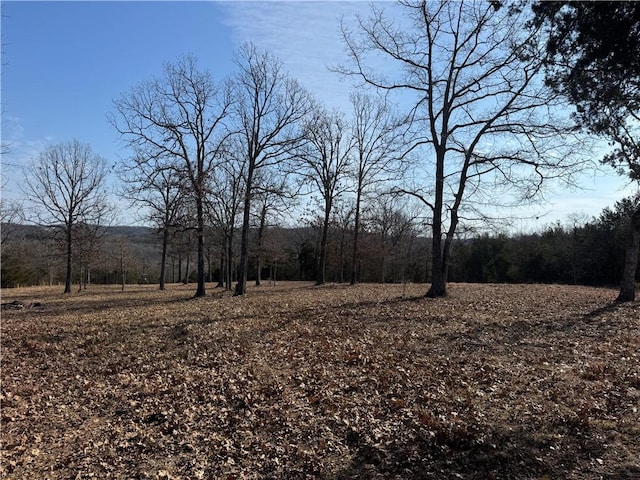TBD Mc 2063, Yellville, AR 72687 - photo 14