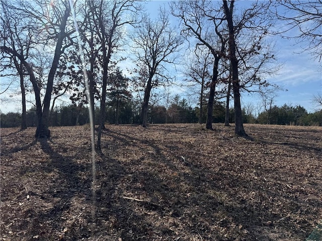 TBD Mc 2063, Yellville, AR 72687 - photo 15