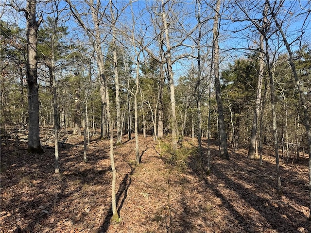 TBD Mc 2063, Yellville, AR 72687 - photo 17