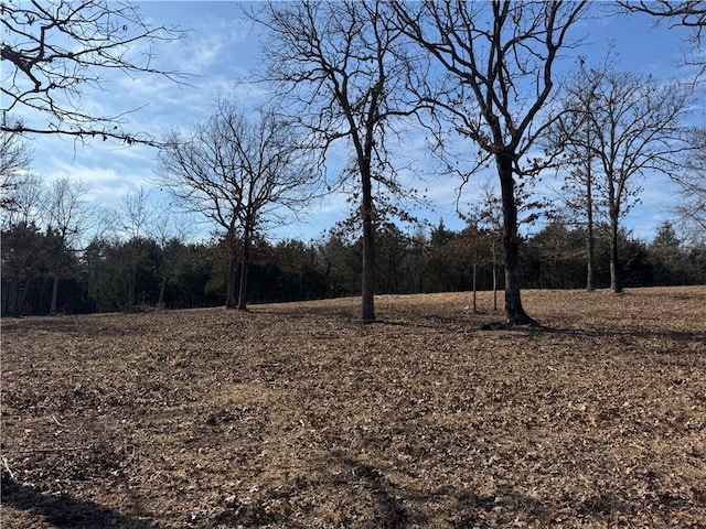 TBD Mc 2063, Yellville, AR 72687 - photo 18