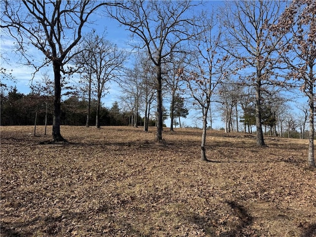 TBD Mc 2063, Yellville, AR 72687 - photo 19