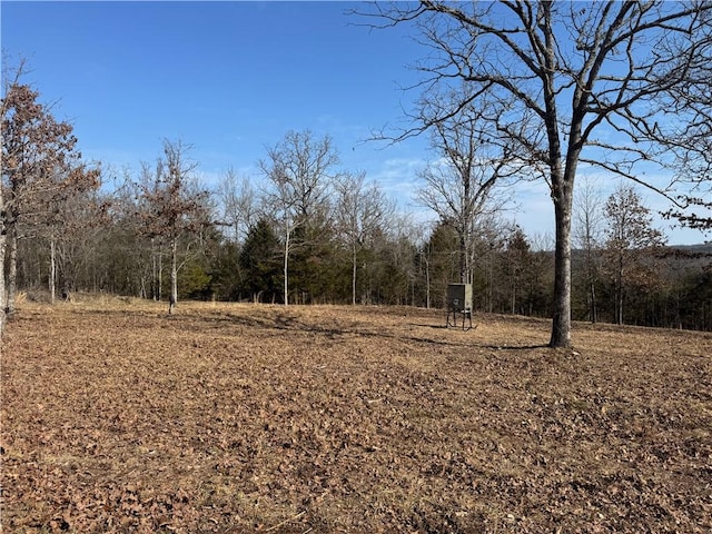 TBD Mc 2063, Yellville, AR 72687 - photo 20