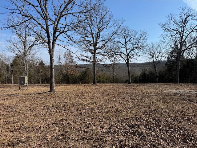 TBD Mc 2063, Yellville, AR 72687 - photo 21